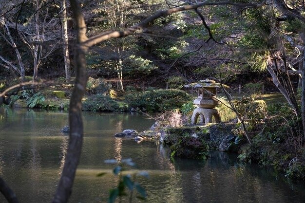 Visitors at Fairy Falls